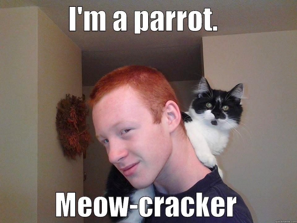 I'm a parrot, I swear - I'M A PARROT.  MEOW-CRACKER Misc