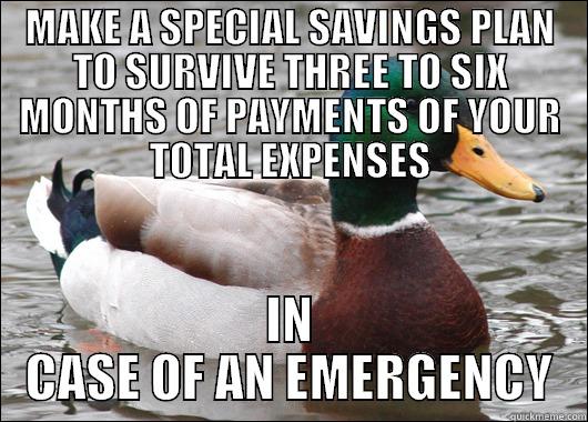 MAKE A SPECIAL SAVINGS PLAN TO SURVIVE THREE TO SIX MONTHS OF PAYMENTS OF YOUR TOTAL EXPENSES IN CASE OF AN EMERGENCY Actual Advice Mallard