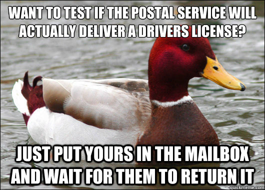 Want to test if the postal service will actually deliver a drivers license?
 just put yours in the mailbox and wait for them to return it  Malicious Advice Mallard