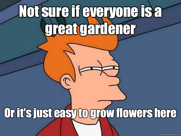 Not sure if everyone is a great gardener  Or it's just easy to grow flowers here   Futurama Fry