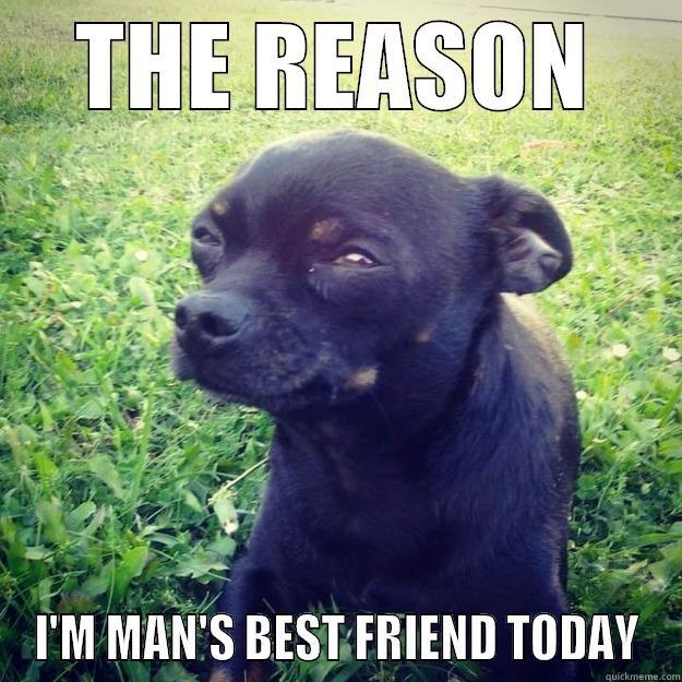 THE REASON I'M MAN'S BEST FRIEND TODAY Skeptical Dog