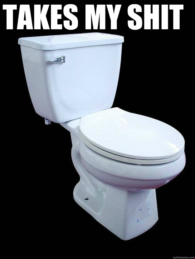 Takes my shit  Good Guy Toilet