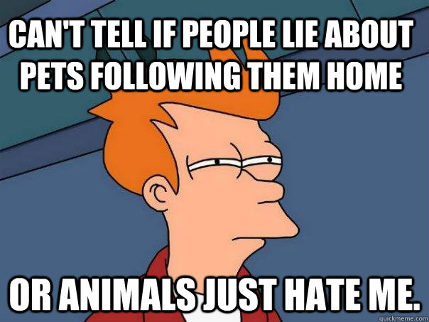 Can't tell if people lie about pets following them home or animals just hate me.  Futurama Fry