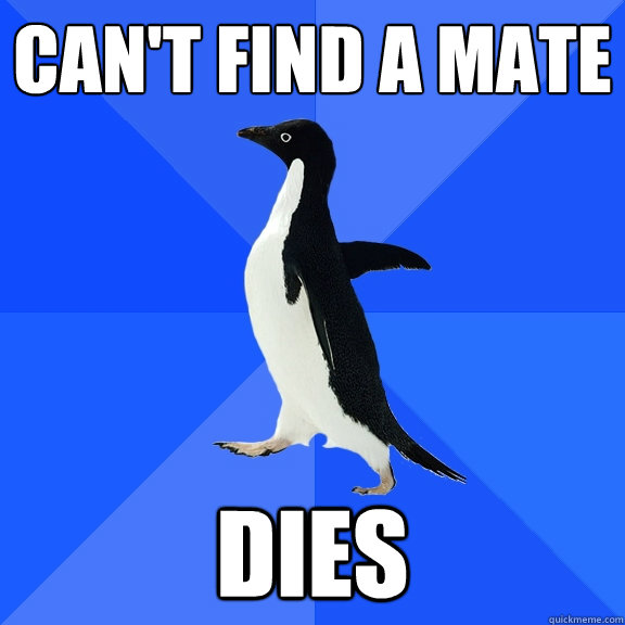 Can't find a mate dies  Socially Awkward Penguin