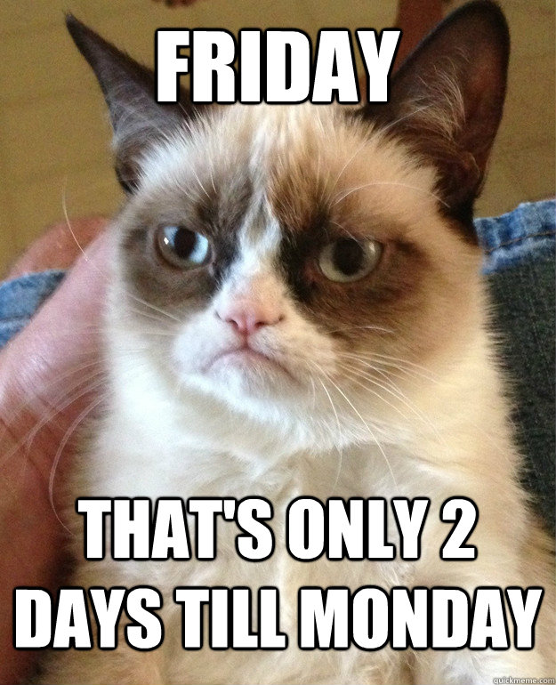 Friday That's only 2 days till monday - Friday That's only 2 days till monday  Grumpy Cat