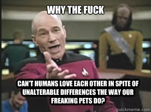 why the fuck can't humans love each other in spite of unalterable differences the way our freaking pets do?  Annoyed Picard