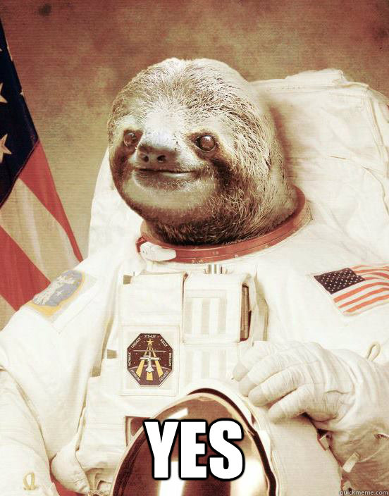  YES -  YES  Astronaut sloth