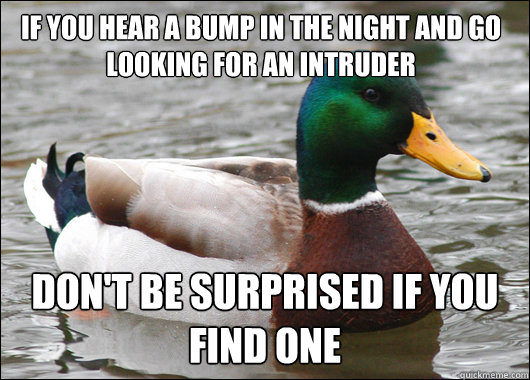 If you hear a bump in the night and go looking for an intruder Don't be surprised if you find one - If you hear a bump in the night and go looking for an intruder Don't be surprised if you find one  Actual Advice Mallard