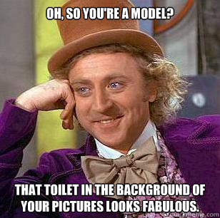 Oh, so you're a model? That toilet in the background of your pictures looks fabulous. - Oh, so you're a model? That toilet in the background of your pictures looks fabulous.  Condescending Wonka