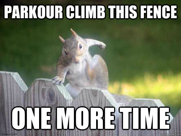 parkour climb this fence one more time  