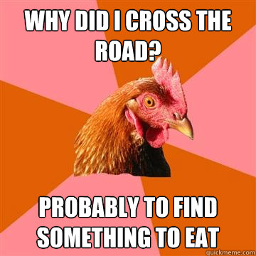 Why did i cross the road? Probably to find something to eat  Anti-Joke Chicken