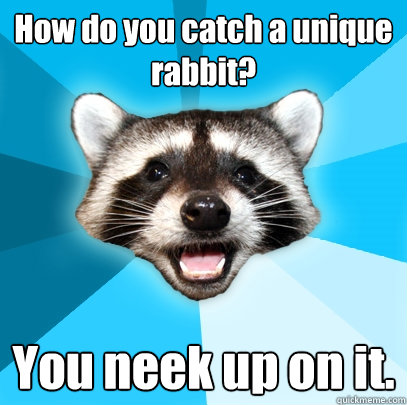 How do you catch a unique rabbit? You neek up on it.  Lame Pun Coon