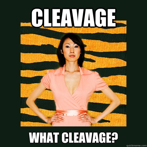 cleavage what cleavage?  Tiger Mom