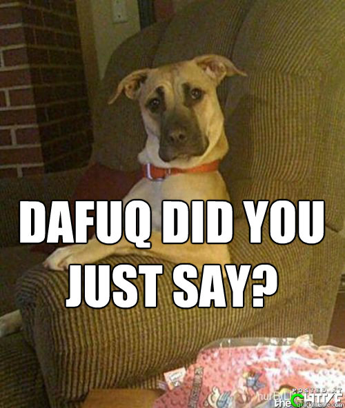 dafuq did you just say?   Dog You Mad Bro