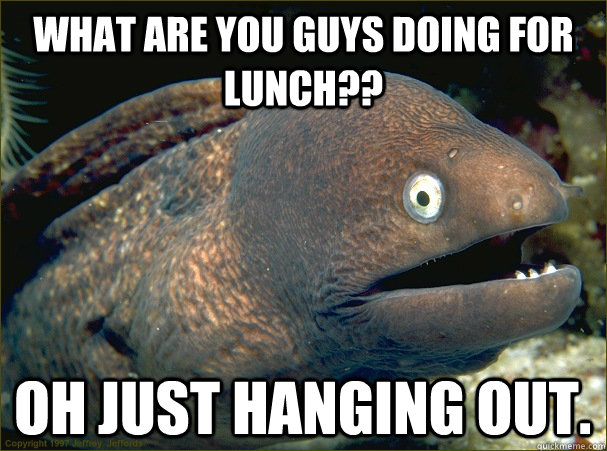 What are you guys doing for lunch?? Oh just hanging out.  Bad Joke Eel