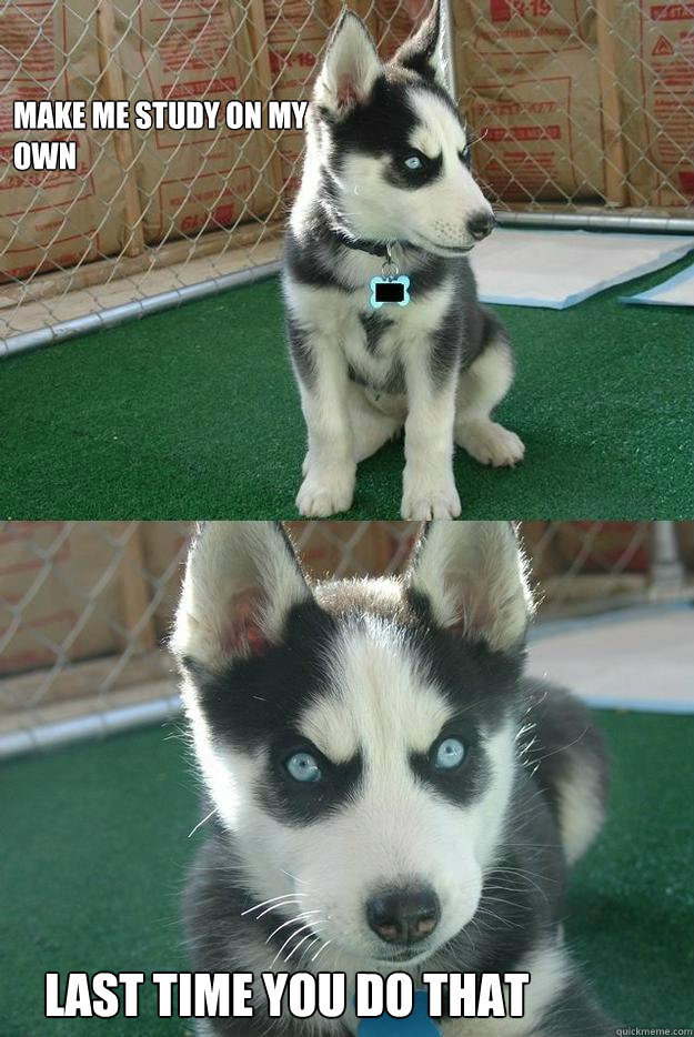 Make me study on my 
own  Last time you do that   Insanity puppy