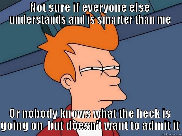 Grad School - NOT SURE IF EVERYONE ELSE UNDERSTANDS AND IS SMARTER THAN ME OR NOBODY KNOWS WHAT THE HECK IS GOING ON  BUT DOESN'T WANT TO ADMIT IT Futurama Fry