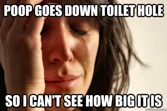Poop goes down toilet hole So i can't see how big it is  First World Problems