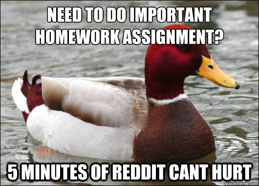Need to do important homework assignment?
 5 Minutes of reddit cant hurt  Malicious Advice Mallard