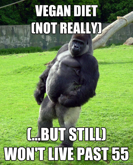 Vegan Diet
(NOT REALLY) (...but still)
Won't Live past 55 - Vegan Diet
(NOT REALLY) (...but still)
Won't Live past 55  Success Gorilla