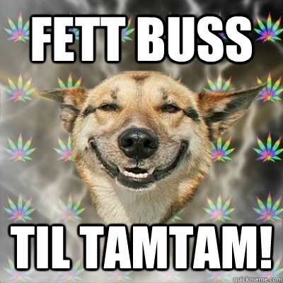 Fett buss til TAMTAM!  Stoner Dog