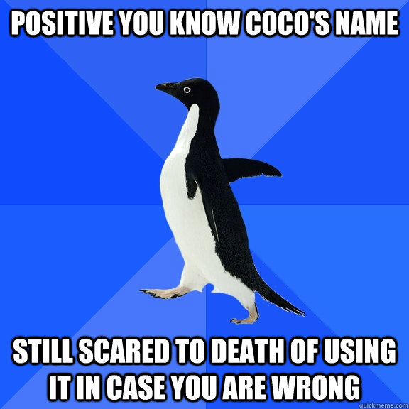 Positive you know coco's name Still scared to death of using it in case you are wrong  Socially Awkward Penguin