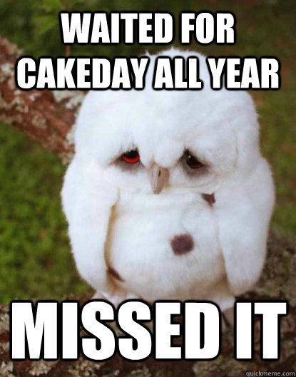 WAITED FOR CAKEDAY ALL YEAR                                                                                       MISSED IT - WAITED FOR CAKEDAY ALL YEAR                                                                                       MISSED IT  Depressed Baby Owl