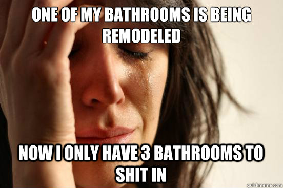 One of my bathrooms is being remodeled Now i only have 3 bathrooms to shit in  First World Problems