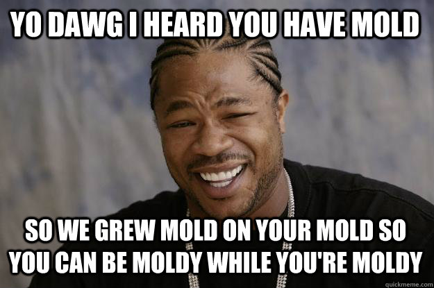 YO DAWG I HEARD YOU HAVE MOLD So we grew mold on your mold so you can be moldy while you're moldy - YO DAWG I HEARD YOU HAVE MOLD So we grew mold on your mold so you can be moldy while you're moldy  Xzibit meme