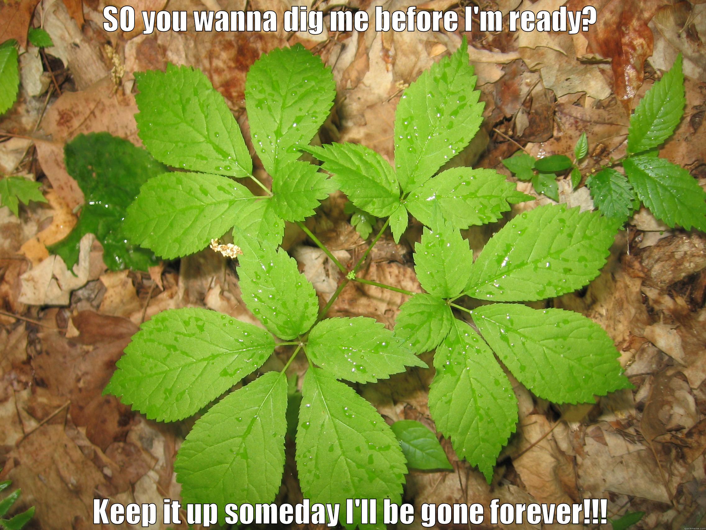 Poachers are greedy - SO YOU WANNA DIG ME BEFORE I'M READY? KEEP IT UP SOMEDAY I'LL BE GONE FOREVER!!! Misc