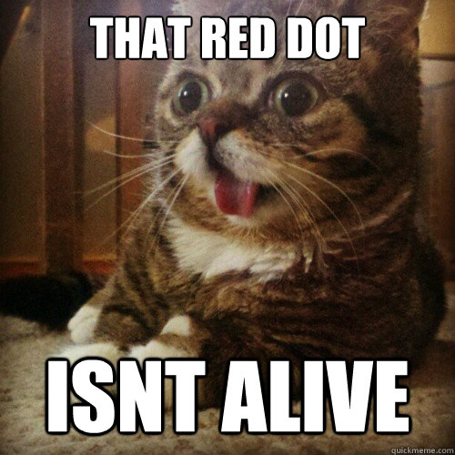 That Red Dot Isnt Alive  Sudden Clarity Cat