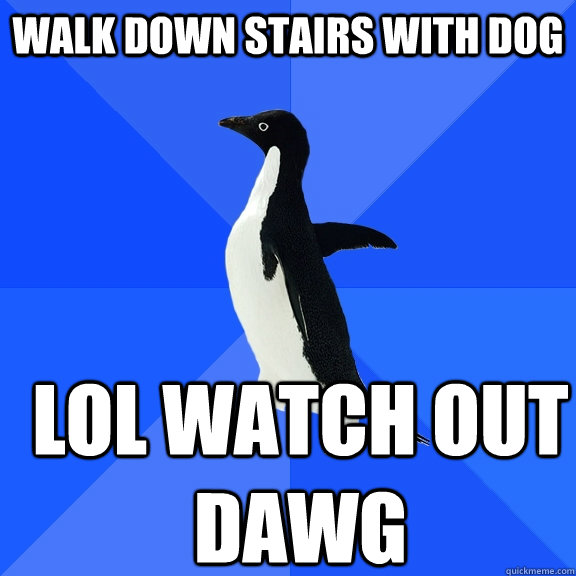 walk down stairs with dog lol watch out dawg  Socially Awkward Penguin