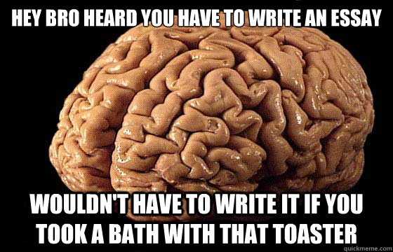 Hey Bro heard you have to write an essay Wouldn't have to write it if you took a bath with that toaster - Hey Bro heard you have to write an essay Wouldn't have to write it if you took a bath with that toaster  Awesome Brain