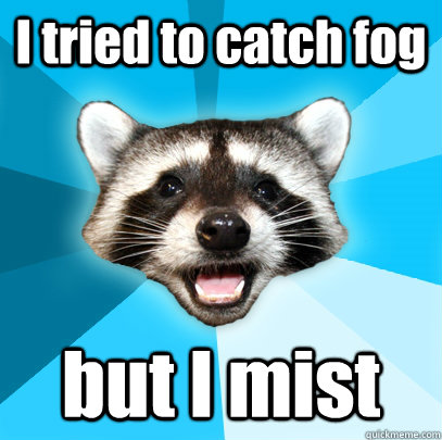 I tried to catch fog but I mist - I tried to catch fog but I mist  Lame Pun Coon