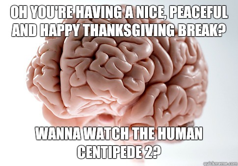 Oh you're having a nice, peaceful and happy Thanksgiving break? Wanna watch the human Centipede 2?  Scumbag Brain