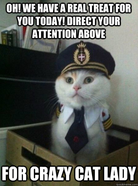 OH! We have a real treat for you today! Direct your attention above For crazy cat lady  Captain kitteh