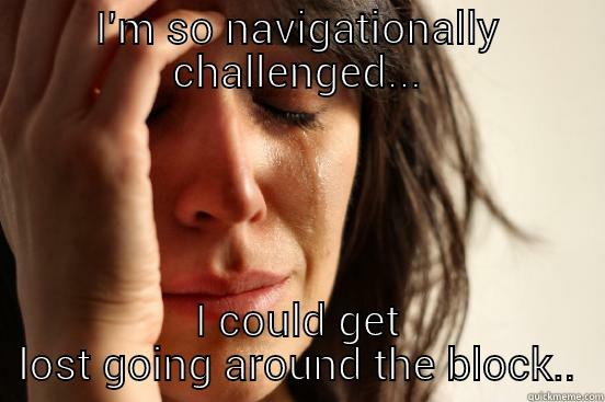 I'M SO NAVIGATIONALLY CHALLENGED... I COULD GET LOST GOING AROUND THE BLOCK.. First World Problems