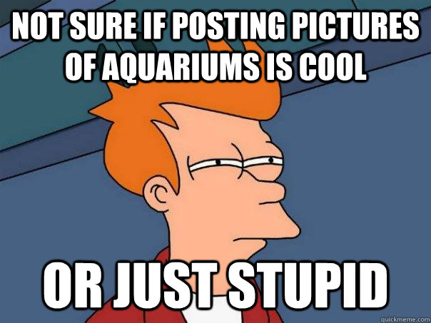 Not sure if posting pictures of aquariums is cool or just stupid  Futurama Fry
