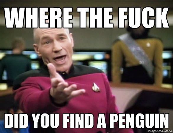 Where the fuck did you find a penguin  Annoyed Picard HD
