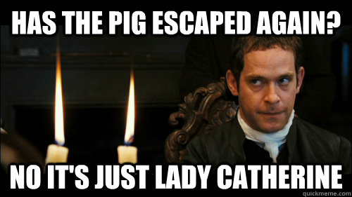 has the pig escaped again? no it's just lady catherine  