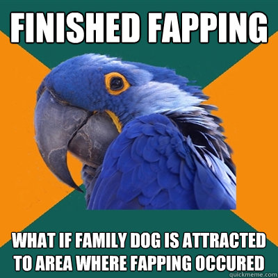 finished fapping what if family dog is attracted to area where fapping occured   Paranoid Parrot