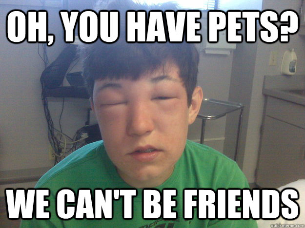 Oh, you have pets? we can't be friends  Allergic to Everything