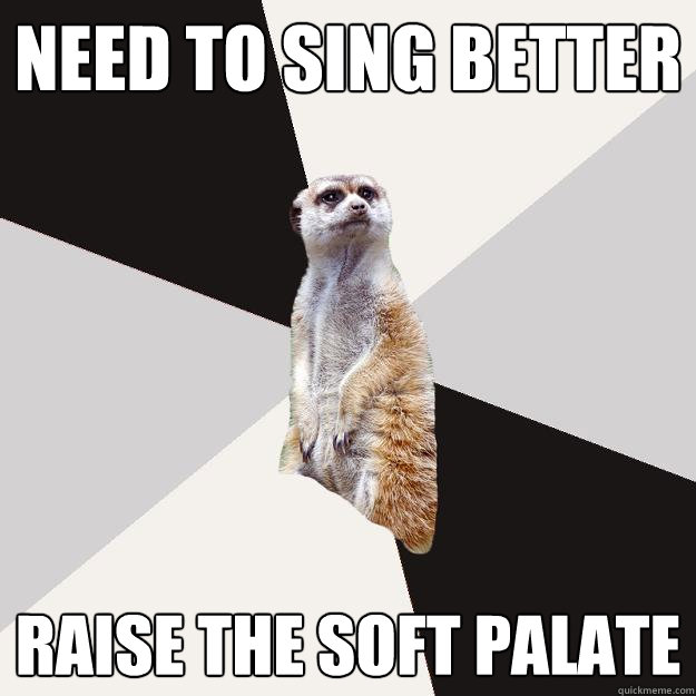 need to sing better raise the soft palate  