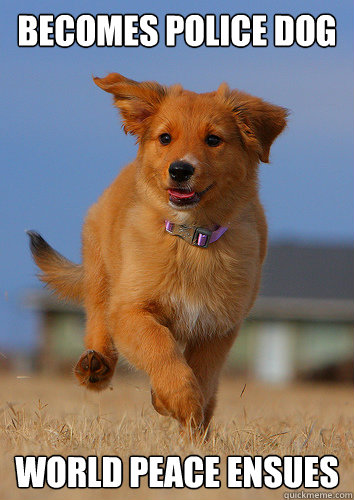 becomes police dog world peace ensues  Ridiculously Photogenic Puppy