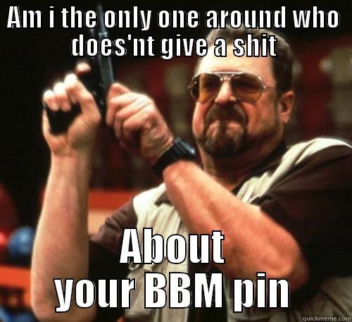 AM I THE ONLY ONE AROUND WHO DOES'NT GIVE A SHIT ABOUT YOUR BBM PIN Am I The Only One Around Here