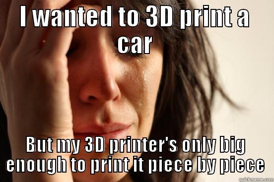 I WANTED TO 3D PRINT A CAR BUT MY 3D PRINTER'S ONLY BIG ENOUGH TO PRINT IT PIECE BY PIECE First World Problems
