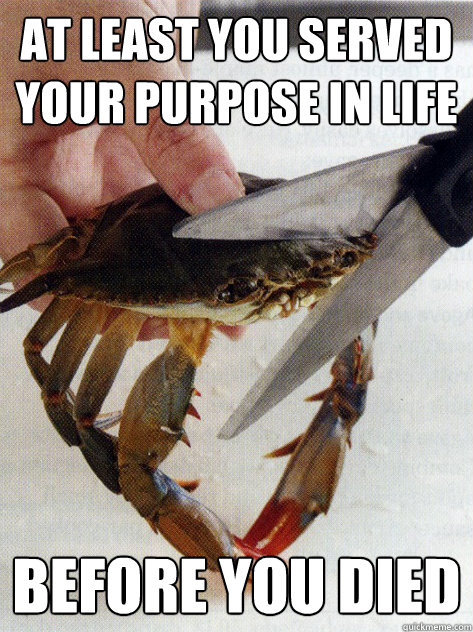 at least you served your purpose in life before you died  Optimistic Crab