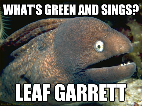 What's green and sings? Leaf Garrett  Bad Joke Eel
