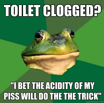 toilet clogged? 