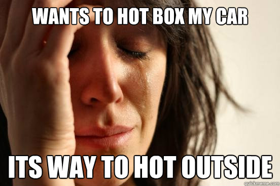 Wants to hot box my car  its way to hot outside  First World Problems